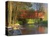 Covered Bridge over Sinking Crook, Newport, Virginia, USA-Charles Gurche-Stretched Canvas