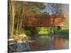 Covered Bridge over Sinking Crook, Newport, Virginia, USA-Charles Gurche-Stretched Canvas