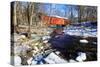 Covered Bridge Over the Cabin Run Creek During Winter, Pennsylavania-George Oze-Stretched Canvas