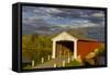 Covered Bridge over the East Fork of the White River, Medora, Indiana-Chuck Haney-Framed Stretched Canvas