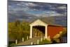 Covered Bridge over the East Fork of the White River, Medora, Indiana-Chuck Haney-Mounted Photographic Print