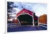 Covered Bridge Over The Ellis River Jackson NH-George Oze-Framed Photographic Print