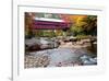 Covered Bridge over the Swift River, Conway, NH-George Oze-Framed Photographic Print