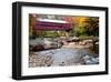 Covered Bridge over the Swift River, Conway, NH-George Oze-Framed Photographic Print