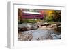 Covered Bridge over the Swift River, Conway, NH-George Oze-Framed Photographic Print