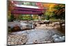 Covered Bridge over the Swift River, Conway, NH-George Oze-Mounted Photographic Print