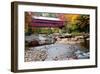 Covered Bridge over the Swift River, Conway, NH-George Oze-Framed Photographic Print