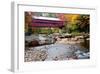 Covered Bridge over the Swift River, Conway, NH-George Oze-Framed Photographic Print