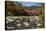 Covered Bridge Over the Swift River in Albany, New Hampshire-null-Stretched Canvas