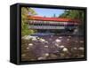 Covered Bridge over the Swift River, White Mountains, New Hampshire, USA-Dennis Flaherty-Framed Stretched Canvas