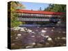 Covered Bridge over the Swift River, White Mountains, New Hampshire, USA-Dennis Flaherty-Stretched Canvas