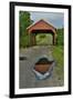 Covered bridge springtime near Chappell Hill, Texas-Darrell Gulin-Framed Photographic Print