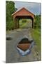 Covered bridge springtime near Chappell Hill, Texas-Darrell Gulin-Mounted Photographic Print