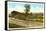 Covered Bridge, Stowe, Vermont-null-Framed Stretched Canvas