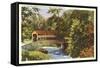 Covered Bridge, Valley Forge, Pennsylvania-null-Framed Stretched Canvas