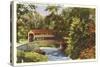 Covered Bridge, Valley Forge, Pennsylvania-null-Stretched Canvas