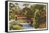 Covered Bridge, Valley Forge, Pennsylvania-null-Framed Stretched Canvas