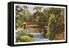 Covered Bridge, Valley Forge, Pennsylvania-null-Framed Stretched Canvas