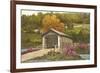 Covered Bridge, Vermont-null-Framed Premium Giclee Print