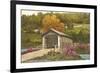 Covered Bridge, Vermont-null-Framed Premium Giclee Print