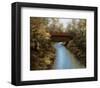 Covered Bridge-Diane Romanello-Framed Art Print