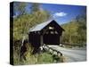 Covered Bridge-null-Stretched Canvas