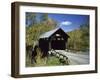 Covered Bridge-null-Framed Photographic Print