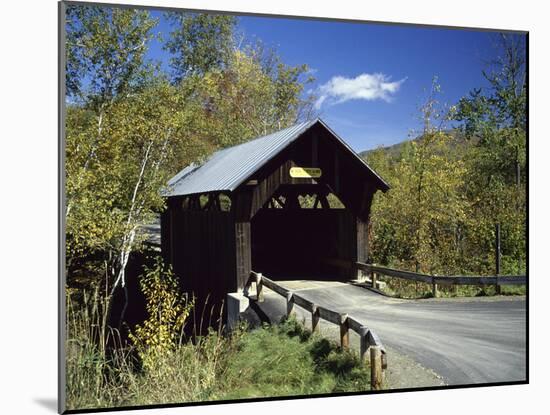 Covered Bridge-null-Mounted Photographic Print