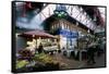 Covered Market, Great George Street Area, Dublin, County Dublin, Eire (Ireland)-Bruno Barbier-Framed Stretched Canvas