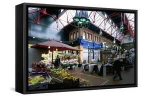 Covered Market, Great George Street Area, Dublin, County Dublin, Eire (Ireland)-Bruno Barbier-Framed Stretched Canvas