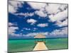 Covered Pier in the Turquoise Water of the Indian Ocean on the Beach of Longoni, Mayotte-null-Mounted Photographic Print