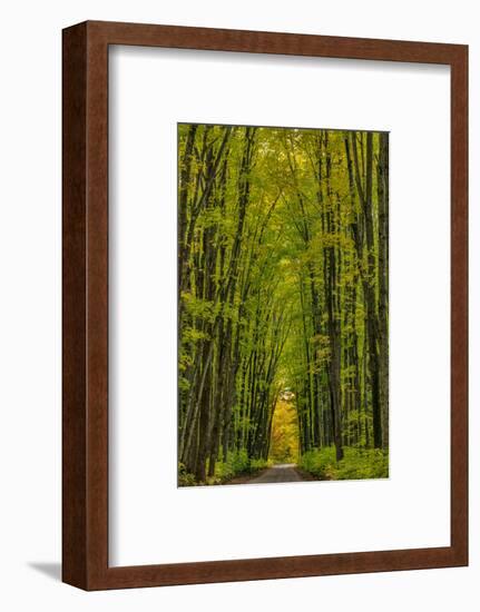 Covered road near Houghton in the Upper Peninsula of Michigan, USA-Chuck Haney-Framed Photographic Print