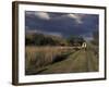 Covered Wagon on Oregon Trail, Lewis and Clark Trail, Whitman Mission, Walla Walla, Washington, USA-Connie Ricca-Framed Photographic Print