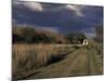 Covered Wagon on Oregon Trail, Lewis and Clark Trail, Whitman Mission, Walla Walla, Washington, USA-Connie Ricca-Mounted Photographic Print