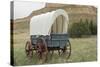 Covered Wagon Replica on the Oregon Trail, Scotts Bluff National Monument, Nebraska-null-Stretched Canvas