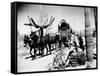 Covered Wagon-null-Framed Stretched Canvas