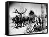 Covered Wagon-null-Framed Stretched Canvas