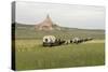 Covered Wagons Passing Chimney Rock, a Landmark on the Oregon Trail, Nebraska-null-Stretched Canvas