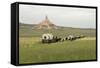 Covered Wagons Passing Chimney Rock, a Landmark on the Oregon Trail, Nebraska-null-Framed Stretched Canvas