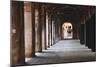 Covered Walkway, Rialto, Venice, Italy-George Oze-Mounted Photographic Print