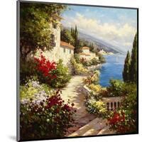 Coveside Harbor-Andino-Mounted Art Print