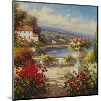 Coveside Terrace-Andino-Mounted Art Print