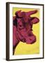 Cow, 1966 (yellow & pink)-Andy Warhol-Framed Art Print