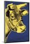 Cow, 1971 (blue & yellow)-Andy Warhol-Mounted Art Print