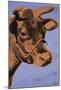 Cow, 1971 (purple & orange)-Andy Warhol-Mounted Art Print