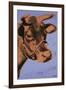 Cow, 1971 (purple & orange)-Andy Warhol-Framed Art Print