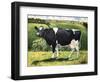 Cow 2021 (oil on canvas)-Tilly Willis-Framed Giclee Print