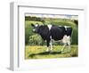 Cow 2021 (oil on canvas)-Tilly Willis-Framed Giclee Print