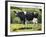 Cow 2021 (oil on canvas)-Tilly Willis-Framed Giclee Print