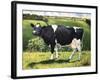 Cow 2021 (oil on canvas)-Tilly Willis-Framed Giclee Print